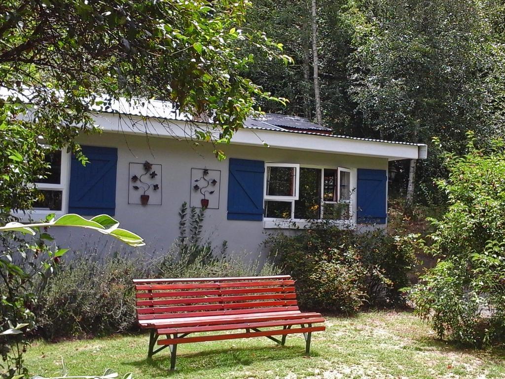 Villa Maple Grove Hogsback Exterior foto