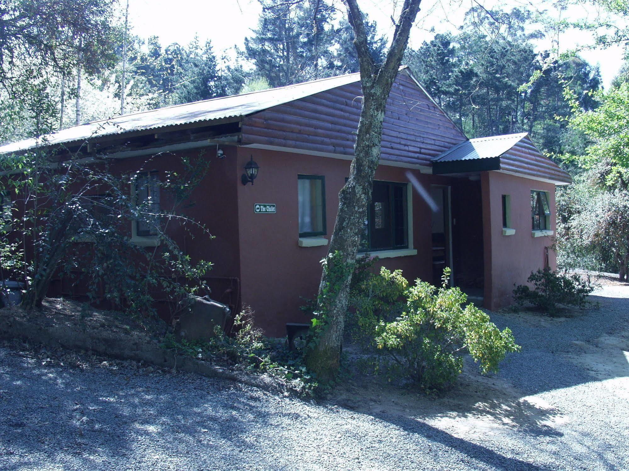 Villa Maple Grove Hogsback Exterior foto