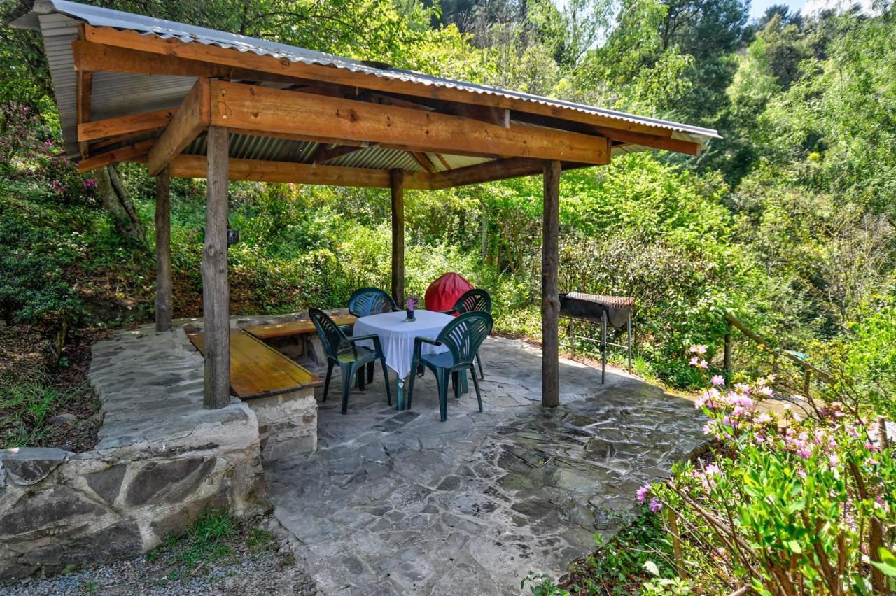 Villa Maple Grove Hogsback Exterior foto