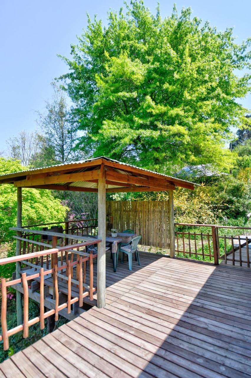 Villa Maple Grove Hogsback Exterior foto